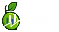 Limelabs Solutions logo